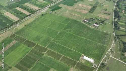 Aerial flight over beautiful vineyard landscape in Gulgula village. Georgia photo