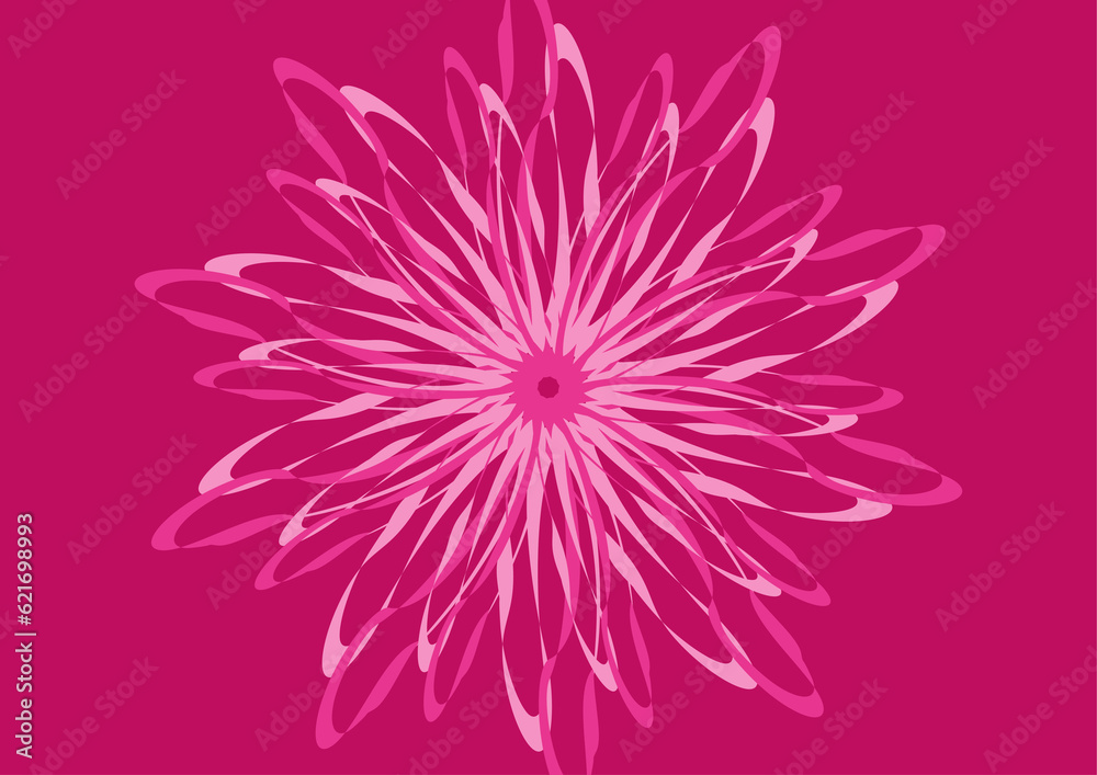 pink flower isolated on white pink flower isolated on white