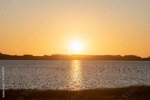 Natural environment of the Palmares de Rocha in eastern Uruguay. photo