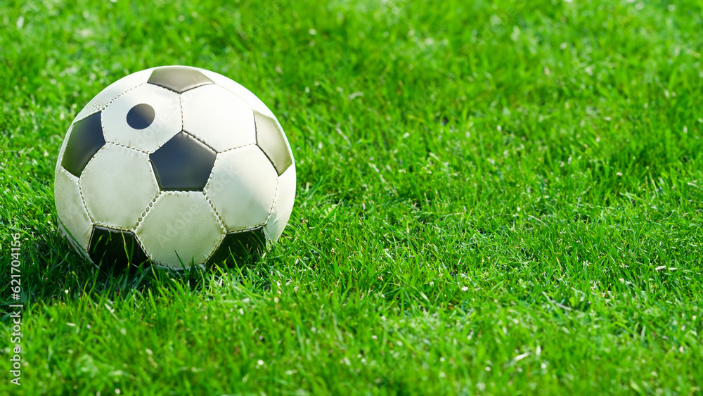 Fototapeta premium A football laying in the grass.