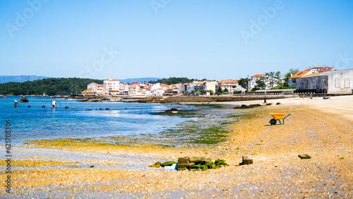 people shellfishing on the seashore photo