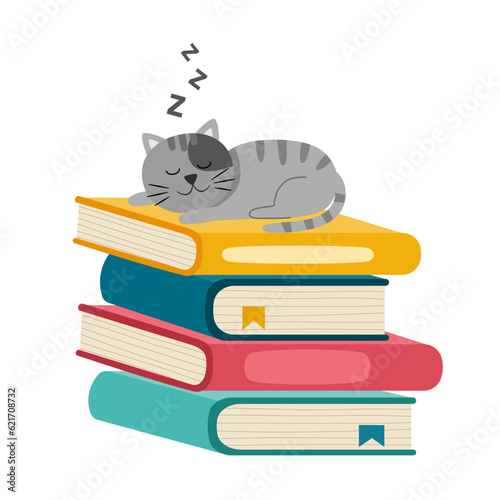 Cute cat sleeping on a pile of books in flat design on white background.