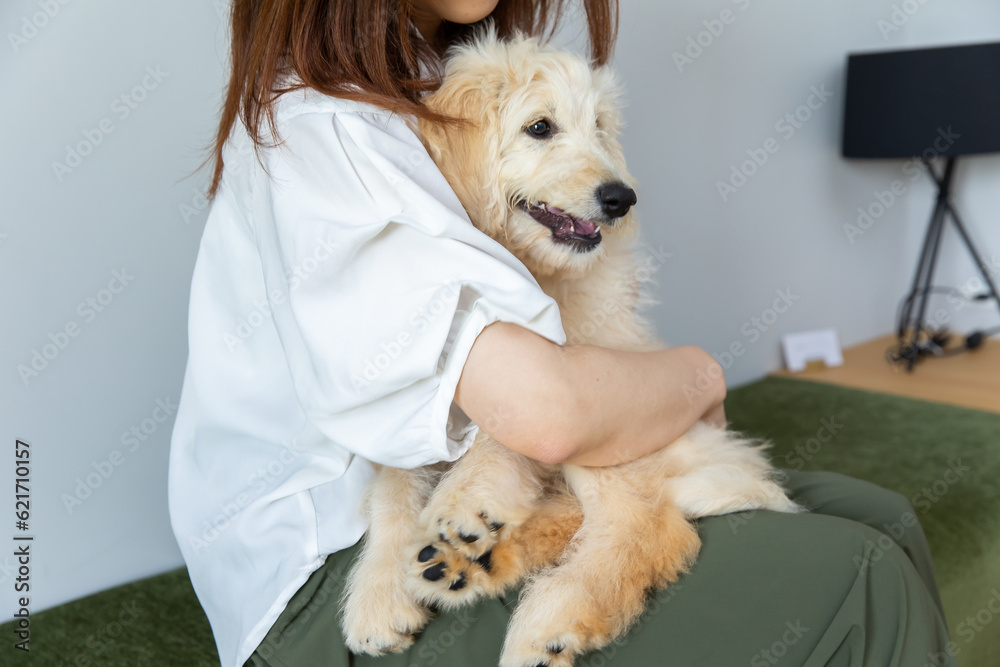 抱っこされる犬　dog being hugged