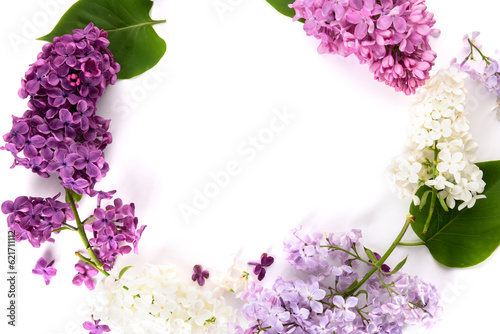 Frame made of different beautiful lilac flowers on white background