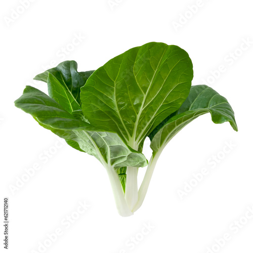 Isolated Cabbage Pak Choi White Stem lettuce on a white background. Clipping path.