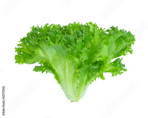 Green frillies iceberg isolated on white background