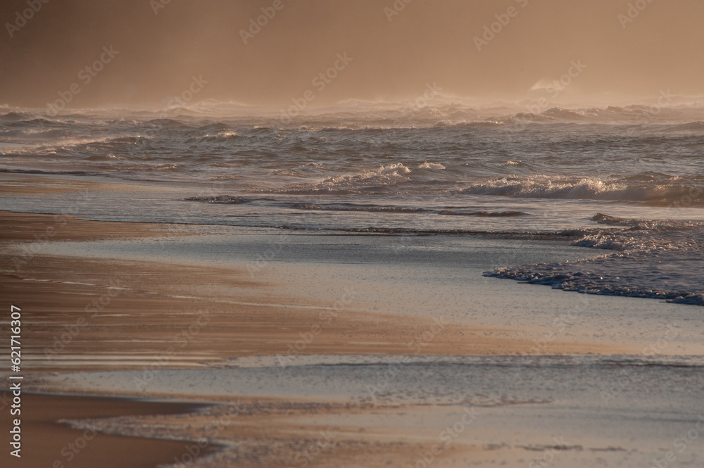 A Long Shot of a Lone Seagull Resting in the Backwash of a Wave on a Pristine Great Barrier Reef Beach at Sunset, with Mist and White-Tipped Waves as a  Backdrop
