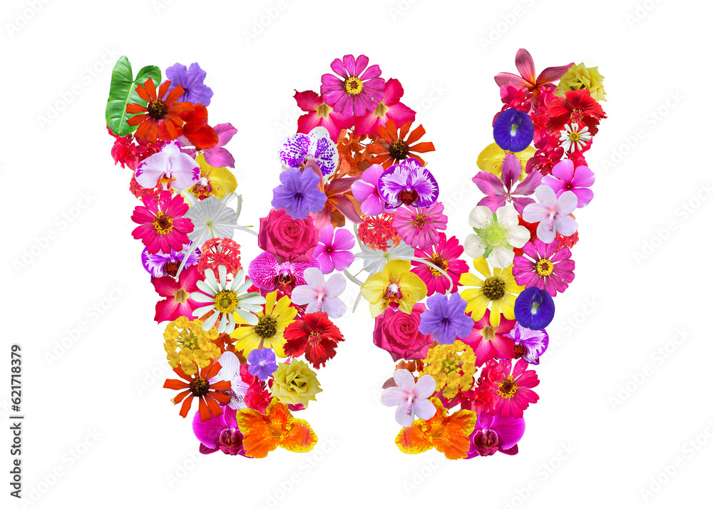 W shape made of various kinds of flowers petals isolated on transparent background, PNG W shape made of various kinds of flowers petals isolated on transparent background, PNG