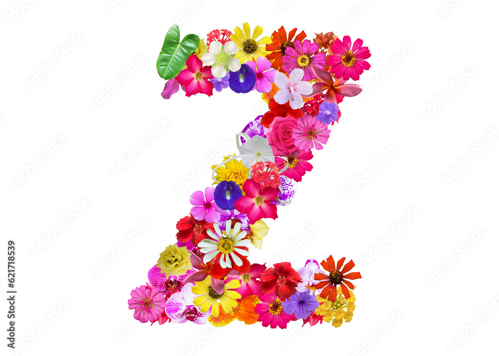 Z shape made of various kinds of flowers petals isolated on transparent background, PNG Z shape made of various kinds of flowers petals isolated on transparent background, PNG