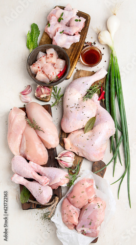 Various raw chicken meat portions. photo