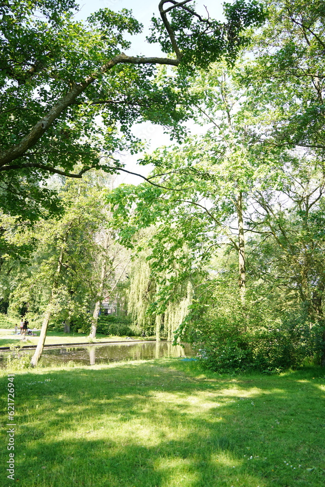 Obraz premium Nature's beauty