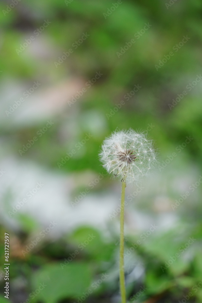 Nature's beauty Nature's beauty