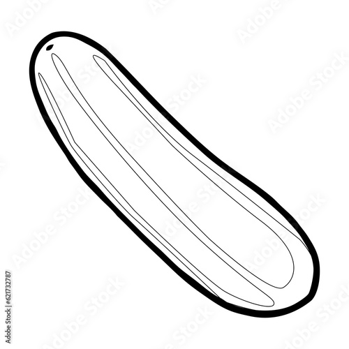 cucumber sketch illustration