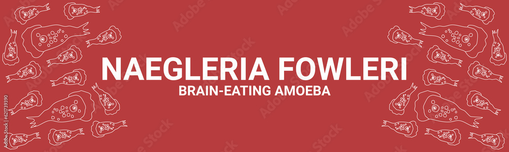 Fototapeta premium Naegleria fowleri vector red banner for awareness of disease spread, symptoms or precautions, Brain-eating amoeba infection, naegleriasis. trophozoites forms, Nasal passage of Naegleria parasites.