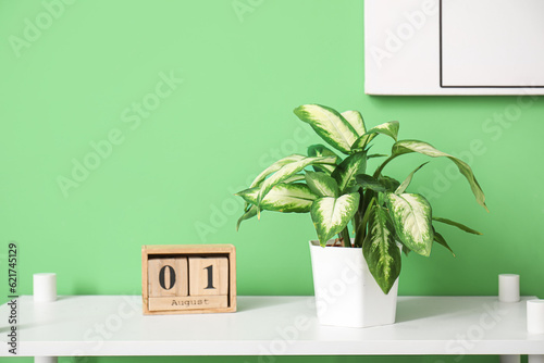 Calendar and houseplant on table near green wall