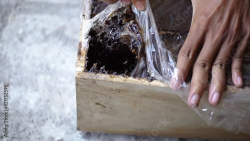 A close-up of a stingless beehive that produces one of the best honeys in a propolis bag. Trigona bee cultivation in artificial wooden hives that produce the best quality lanceng honey photo