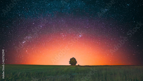 Fototapeta Naklejka Na Ścianę i Meble -  Amazing Bold Bright Morning Sunrise Evening Sunset Sky Above Lonely Tree In Meadow. Glowing Stars And Wood In Summer Countryside Landscape. Gradient Sky Background. Highlight. Soft Colors.