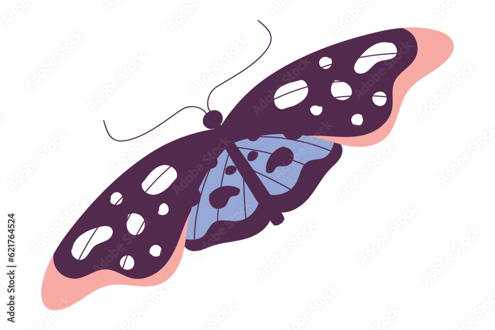 Butterfly Fluttering with Open Wings Closeup Vector Illustration Butterfly Fluttering with Open Wings Closeup Vector Illustration