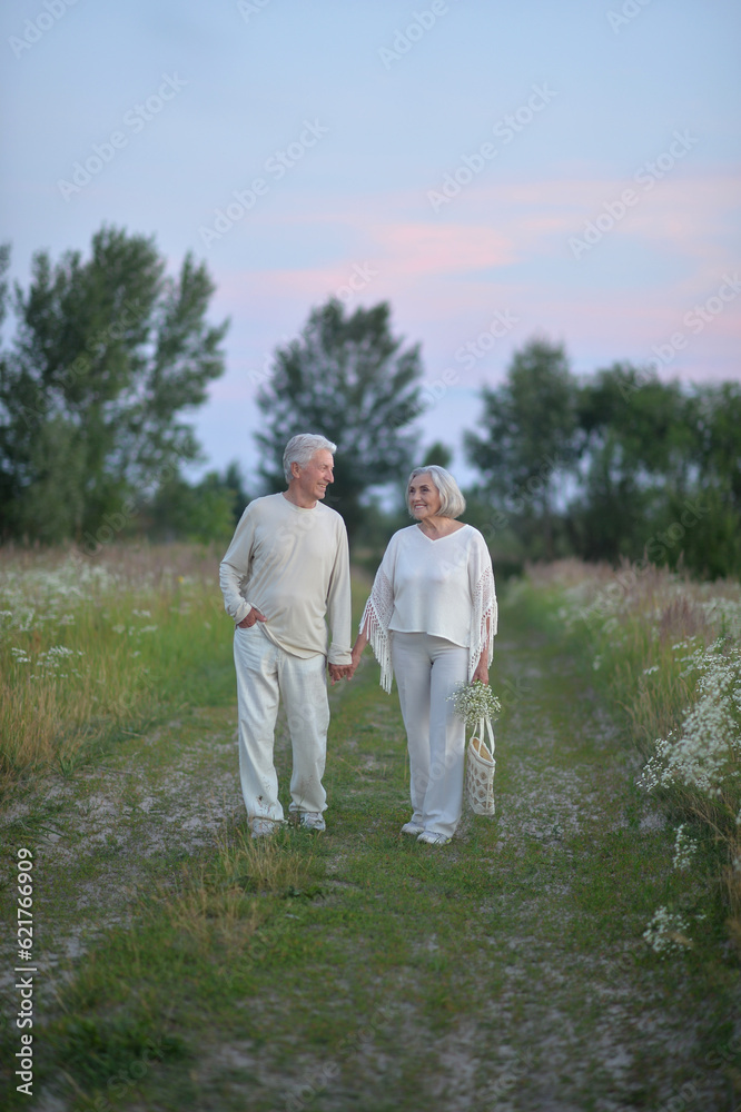 Happy nice mature couple walking together outdoors