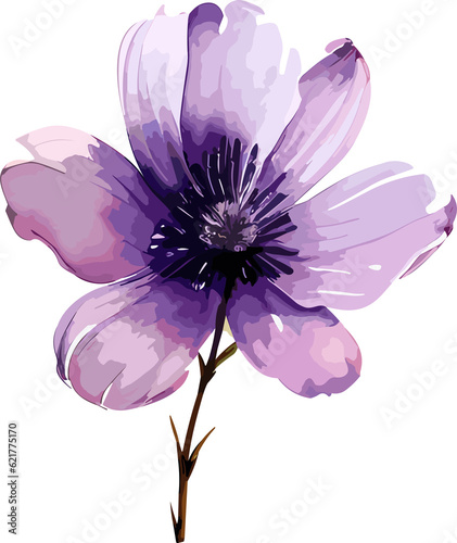 Fototapeta Naklejka Na Ścianę i Meble -  Watercolor Purple Flowers Clipart Png Transparent Element