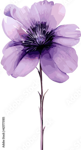 Fototapeta Naklejka Na Ścianę i Meble -  Watercolor Purple Flowers Clipart Png Transparent Element