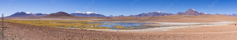 Discovering the scenic wetlands Vado Rio Putana between San Pedro de Atacama and the geysers of El Tatio in the Atacama desert in Chile, South America - Panorama