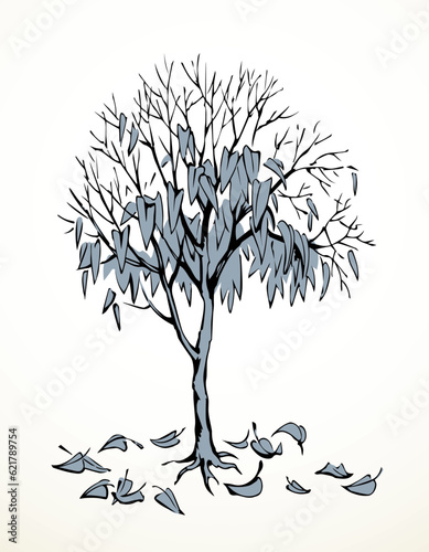 Vector drawing. Withered tree with fallen leaves