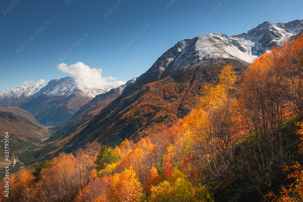 Snow-covered mountains and yellow autumn forest. Chegem gorge in North Caucasus, Russia.