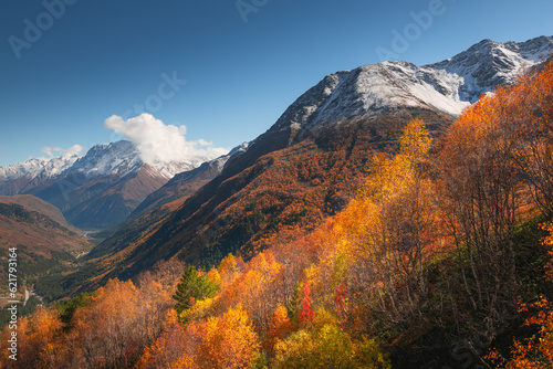 Snow-covered mountains and yellow autumn forest. Chegem gorge in North Caucasus  Russia.