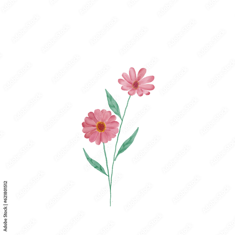 beautiful flower watercolor transparent background created with procreate