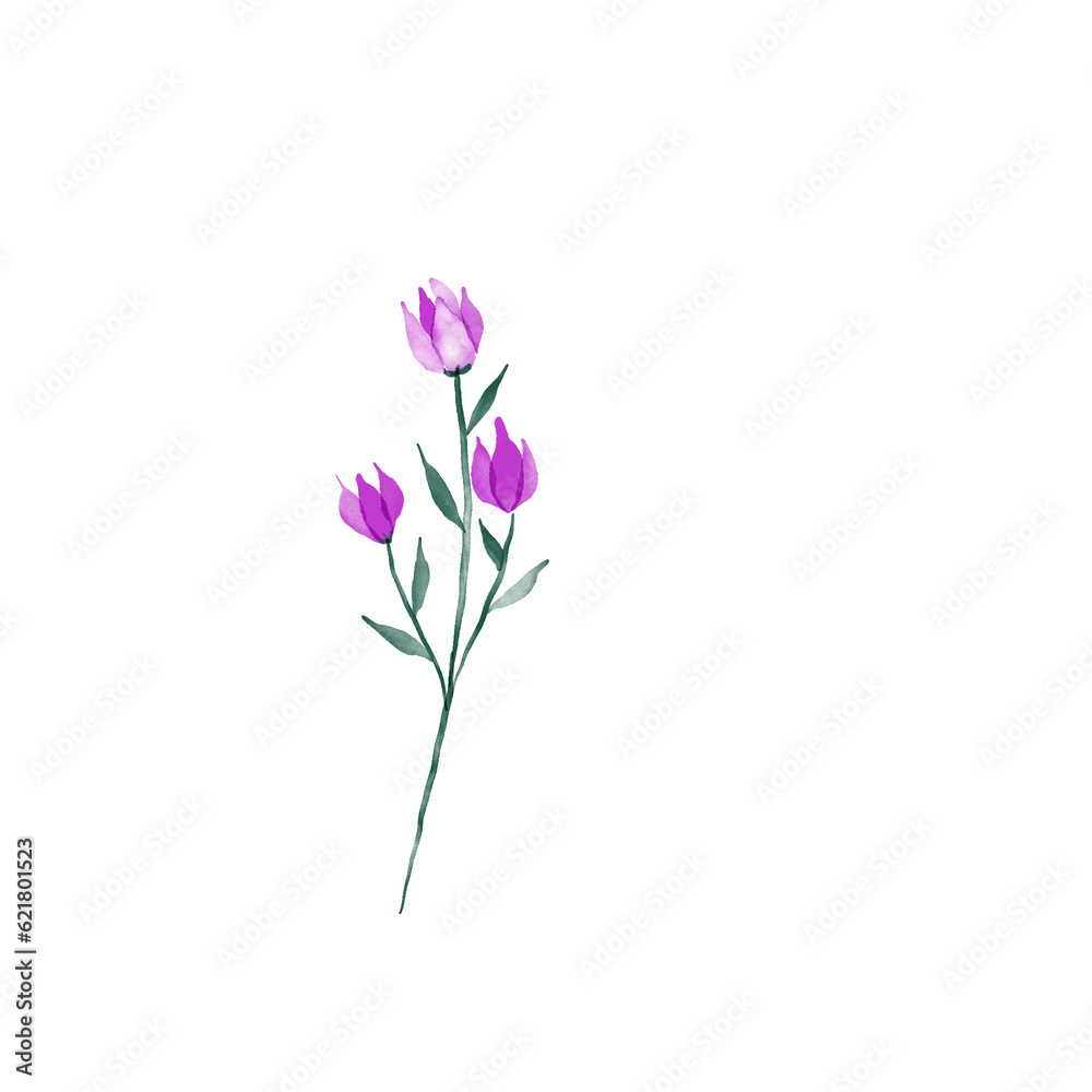 Fototapeta premium beautiful flower watercolor transparent background created with procreate