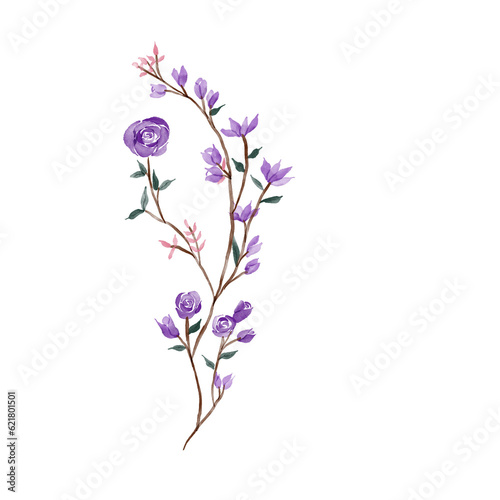 beautiful flower watercolor transparent background created with procreate