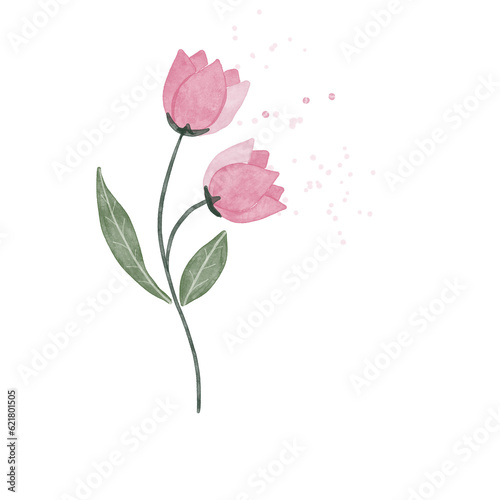 beautiful flower watercolor transparent background created with procreate