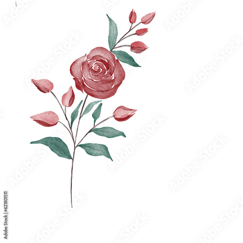 beautiful flower watercolor transparent background created with procreate