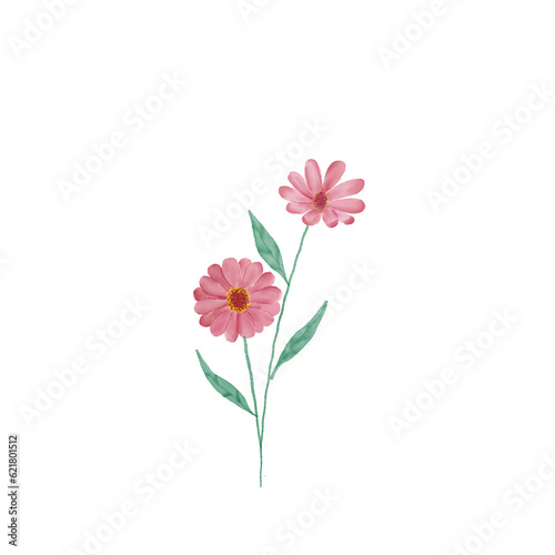 beautiful flower watercolor transparent background created with procreate