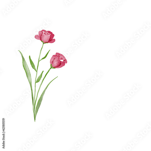 beautiful flower watercolor transparent background created with procreate