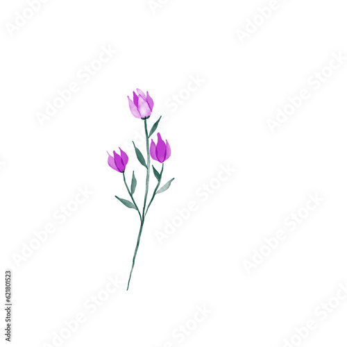 beautiful flower watercolor transparent background created with procreate