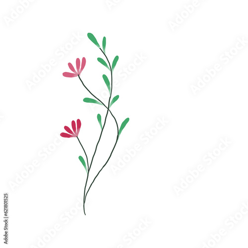 beautiful flower watercolor transparent background created with procreate