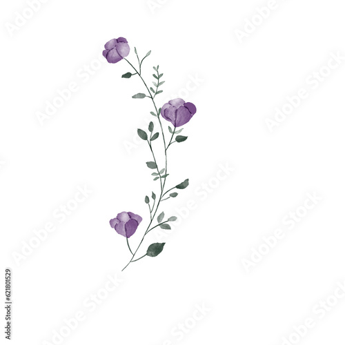 beautiful flower watercolor transparent background created with procreate