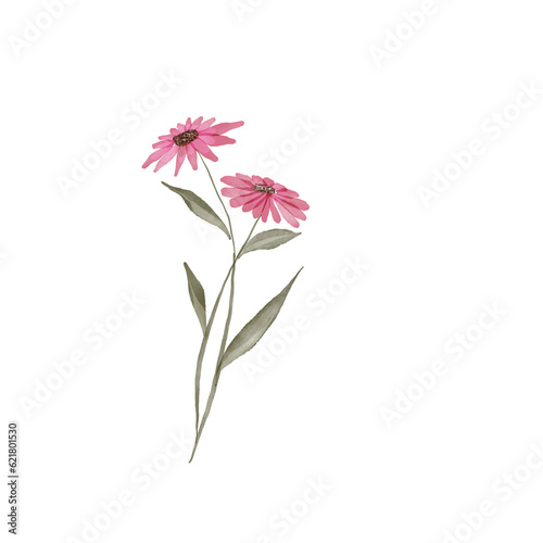 beautiful flower watercolor transparent background created with procreate