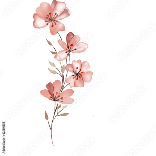 beautiful flower watercolor transparent background created with procreate