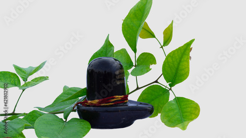 Lord shiva lingam idol and Bael leaves, Indian people use bael leaves to worship Lord Shiva. photo