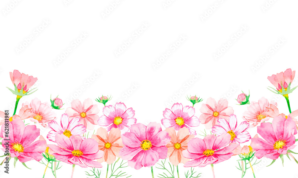 コスモスの花の水彩ボタニカルフレーム	