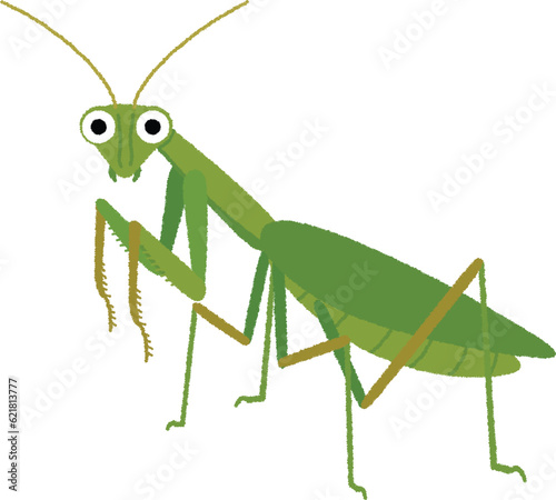 カマキリのイラスト