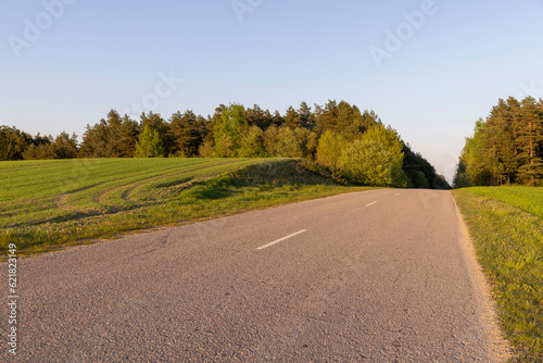 paved road in the spring season during sunset