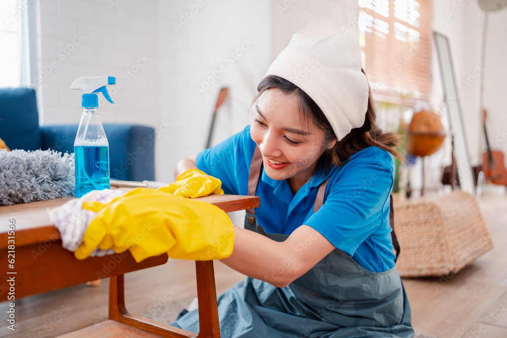 Housework or house keeping service female cleaning dust in house, cleaning agency small business. professional equipment cleaning old home. Housework or house keeping service female cleaning dust in house, cleaning agency small business. professional equipment cleaning old home.