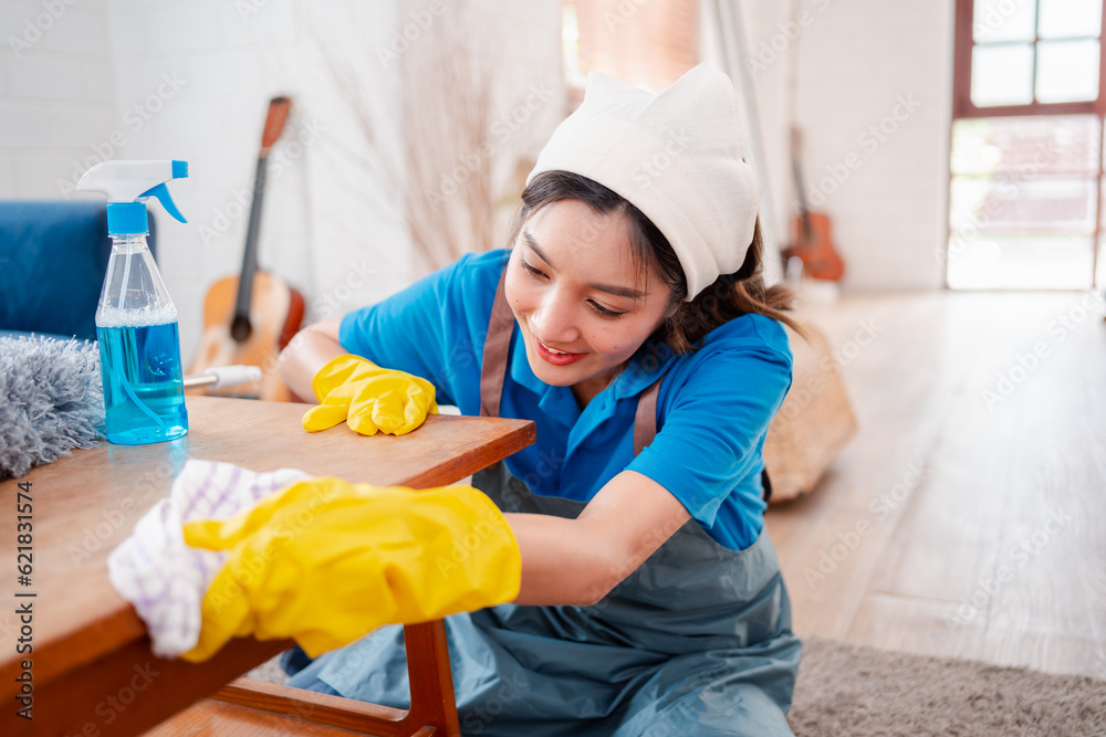 Housework or house keeping service female cleaning dust in house, cleaning agency small business. professional equipment cleaning old home. Housework or house keeping service female cleaning dust in house, cleaning agency small business. professional equipment cleaning old home.