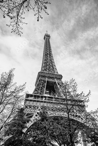 Morning view of Eiffel Tower from bottom. Paris, France. Black and white photography.