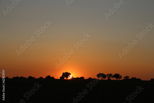 A sunset over a field © parpalac