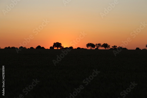 A sunset over a field